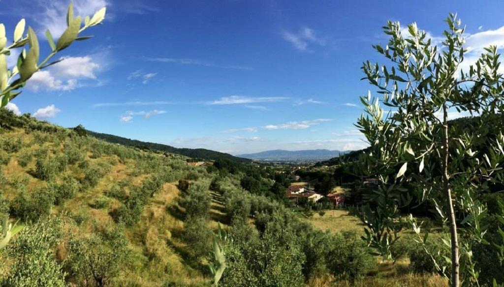 Agriturismo Terrarossa Pistoia Exterior photo